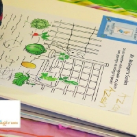Recalling details - The Tale Of Peter Rabbit by Beatrix Potter